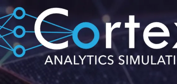 cortex